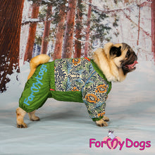 Last inn bildet i Galleri-visningsprogrammet, Regndress ¨Honeycomb¨ HANNE Mops/Fransk Bulldog