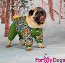 Last inn bildet i Galleri-visningsprogrammet, Regndress ¨Honeycomb¨ HANNE Mops/Fransk Bulldog