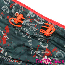 Last inn bildet i Galleri-visningsprogrammet, Vinterdress Hanne Dachs