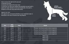 Last inn bildet i Galleri-visningsprogrammet, Fleece Khaki HANNE Dachs