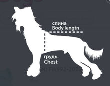 Last inn bildet i Galleri-visningsprogrammet, Regndress Lilla Neon TISPE cocker spaniel, dverg schnauzer m.fl.