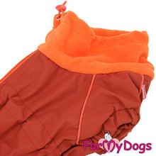 Last inn bildet i Galleri-visningsprogrammet, Varm vinterdress Brun/Orange TISPE dachs