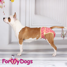 Last inn bildet i Galleri-visningsprogrammet, Truse rød TISPE