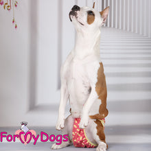 Last inn bildet i Galleri-visningsprogrammet, Truse rød TISPE