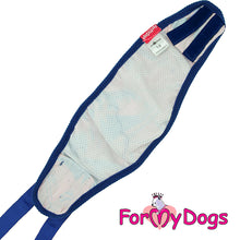 Last inn bildet i Galleri-visningsprogrammet, Bellyband blå HANNE