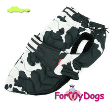 Last inn bildet i Galleri-visningsprogrammet, Jakke Svart/hvit kamo UNISEX, Mops / Fransk Bulldog