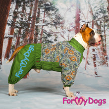 Last inn bildet i Galleri-visningsprogrammet, Varm Vinterdress Grønn HANNE mellomstor - stor hundestr.