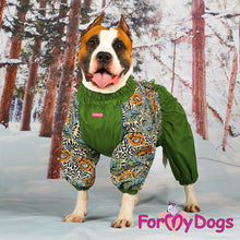 Last inn bildet i Galleri-visningsprogrammet, Varm Vinterdress Grønn HANNE mellomstor - stor hundestr.