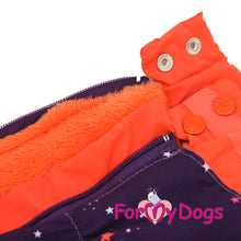 Last inn bildet i Galleri-visningsprogrammet, Vinterdress lilla/orange, stjerner, TISPE (Str. 22 Chinese Crested, Cocker spaniel ol.)