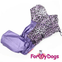 Last inn bildet i Galleri-visningsprogrammet, Regndress ¨Leo¨ Lilla TISPE, str 10 chihuahua m fl.