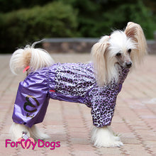 Last inn bildet i Galleri-visningsprogrammet, Regndress ¨Leo¨ Lilla TISPE, str 10 chihuahua m fl.