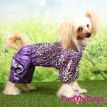 Last inn bildet i Galleri-visningsprogrammet, Regndress ¨Leo¨ Lilla TISPE, str 10 chihuahua m fl.