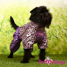 Last inn bildet i Galleri-visningsprogrammet, Regndress ¨Leo¨ Lilla TISPE, str 10 chihuahua m fl.