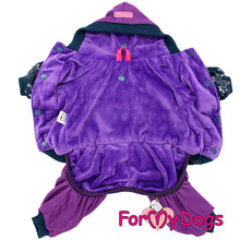 Last inn bildet i Galleri-visningsprogrammet, Velour dress lilla UNISEX str 10 chihuahua