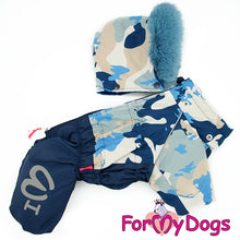 Last inn bildet i Galleri-visningsprogrammet, DRESS blå HANNE (Langhåret hund)