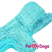 Last inn bildet i Galleri-visningsprogrammet, DRESS lyseblå TISPE (Langhåret hund)