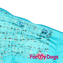 Last inn bildet i Galleri-visningsprogrammet, DRESS lyseblå TISPE (Langhåret hund)