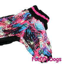 Last inn bildet i Galleri-visningsprogrammet, Dress Svart/Rosa TISPE Mops/Fransk Bulldog