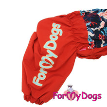 Last inn bildet i Galleri-visningsprogrammet, Vinterdress Varm Rød og Blå TISPE Mops/Fransk Bulldog