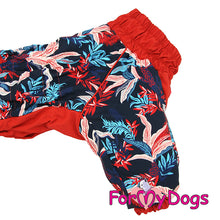 Last inn bildet i Galleri-visningsprogrammet, Vinterdress Varm Rød og Blå TISPE Mops/Fransk Bulldog