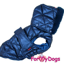 Last inn bildet i Galleri-visningsprogrammet, Jakke blå UNISEX (Str. 10 valper, Chihuahua el. lign.)