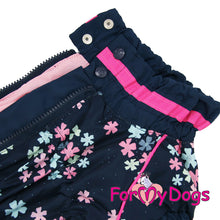 Last inn bildet i Galleri-visningsprogrammet, Regndress blå TISPE Dachs