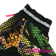 Last inn bildet i Galleri-visningsprogrammet, Regndress ¨Honeycomb¨ HANNE Mops/Fransk Bulldog