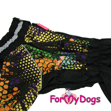 Last inn bildet i Galleri-visningsprogrammet, Regndress ¨Honeycomb¨ HANNE Mops/Fransk Bulldog