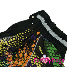 Last inn bildet i Galleri-visningsprogrammet, Regndress ¨Honeycomb¨ HANNE Mops/Fransk Bulldog