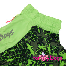 Last inn bildet i Galleri-visningsprogrammet, Regndress Grønn Neon HANNE cocker spaniel, beagle, dvergschnauzer m.fl.