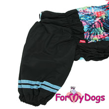 Last inn bildet i Galleri-visningsprogrammet, Dress Svart/Blå HANNE Mops/Fransk Bulldog