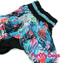 Last inn bildet i Galleri-visningsprogrammet, Dress Svart/Blå HANNE Mops/Fransk Bulldog