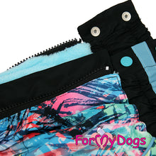 Last inn bildet i Galleri-visningsprogrammet, Dress Svart/Blå HANNE Mops/Fransk Bulldog