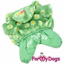 Last inn bildet i Galleri-visningsprogrammet, Vinterdress grønn TISPE Chihuahua