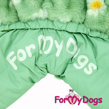Last inn bildet i Galleri-visningsprogrammet, Vinterdress grønn TISPE Chihuahua