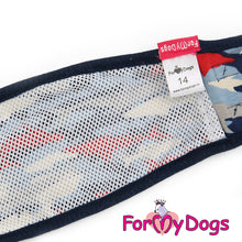 Last inn bildet i Galleri-visningsprogrammet, Bellyband blå HANNE