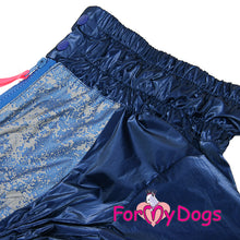 Last inn bildet i Galleri-visningsprogrammet, Regndress Blå HANNE Mops/Fransk Bulldog