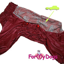 Last inn bildet i Galleri-visningsprogrammet, Regndress Rød TISPE Mops/Fransk Bulldog