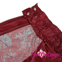 Last inn bildet i Galleri-visningsprogrammet, Regndress Rød TISPE Mops/Fransk Bulldog