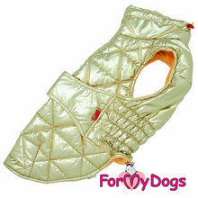 Last inn bildet i Galleri-visningsprogrammet, Jakke gullfarget, UNISEX Dachs