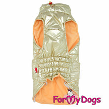 Last inn bildet i Galleri-visningsprogrammet, Jakke gullfarget, UNISEX Dachs