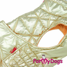 Last inn bildet i Galleri-visningsprogrammet, Jakke gullfarget, UNISEX Dachs