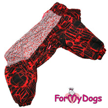 Last inn bildet i Galleri-visningsprogrammet, Vinterdress rød/svart TISPE Mops/Fransk Bulldog