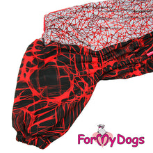 Last inn bildet i Galleri-visningsprogrammet, Vinterdress rød/svart TISPE Mops/Fransk Bulldog