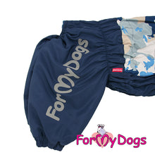 Last inn bildet i Galleri-visningsprogrammet, Vinterdress blå HANNE, Mops/Fransk Bulldog str. A2