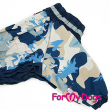 Last inn bildet i Galleri-visningsprogrammet, Vinterdress blå HANNE, Mops/Fransk Bulldog str. A2