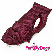 Last inn bildet i Galleri-visningsprogrammet, Jakke lilla UNISEX Dachs