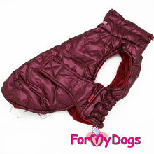 Last inn bildet i Galleri-visningsprogrammet, Jakke lilla UNISEX Dachs