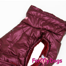 Last inn bildet i Galleri-visningsprogrammet, Jakke lilla UNISEX Dachs