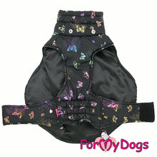 Last inn bildet i Galleri-visningsprogrammet, Jakke svart ¨sommerfugler¨ UNISEX, for Langhårete hunder